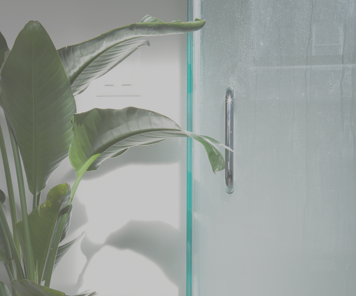 Frosted glass steam-room door with a tropical plant