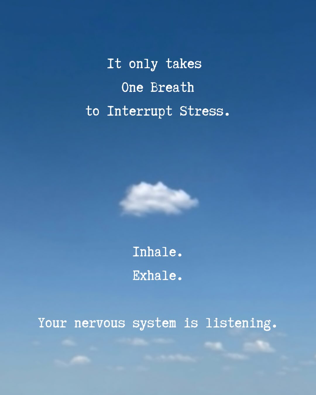 Breathwork quote: It only takes One Breath to Interrupt Stress