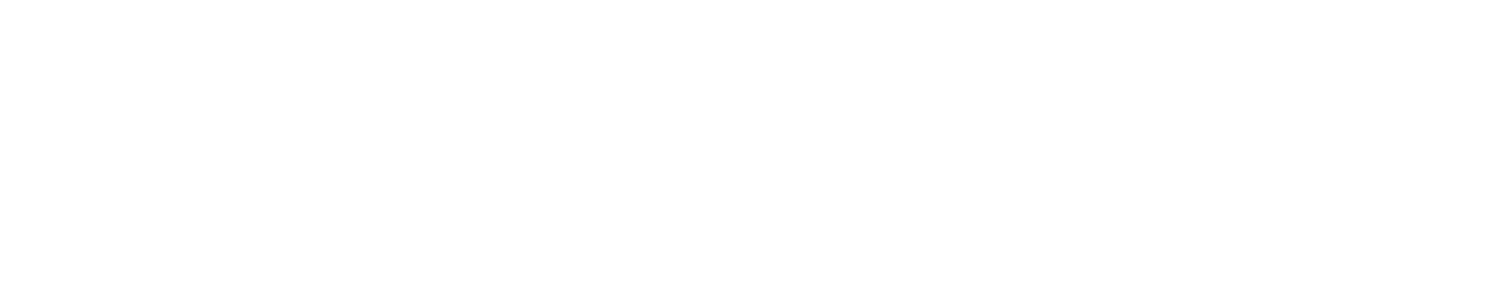 Health Equity Strategies & Solutions