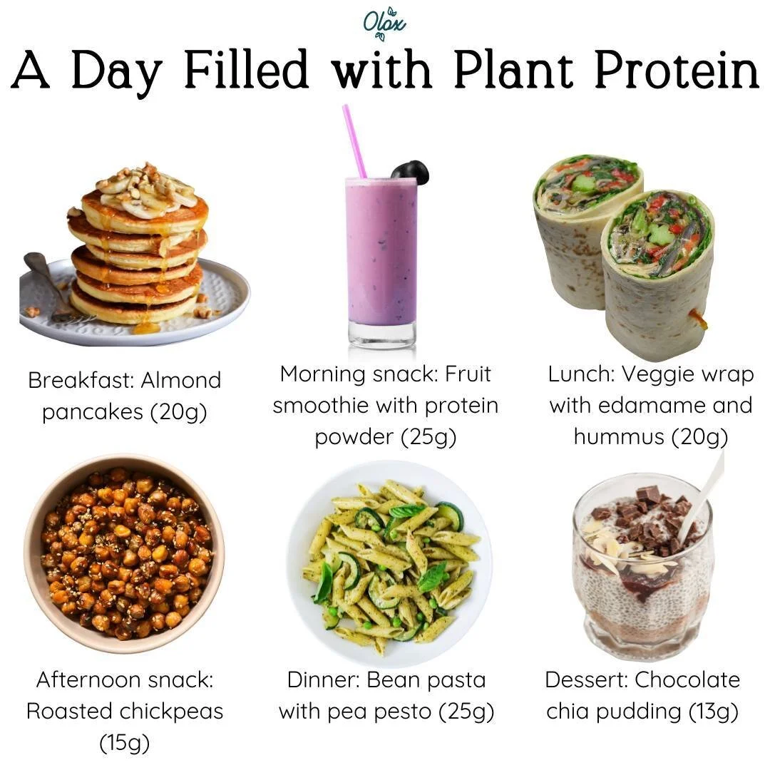 Olox infographic: A Day Filled with Plant Protein