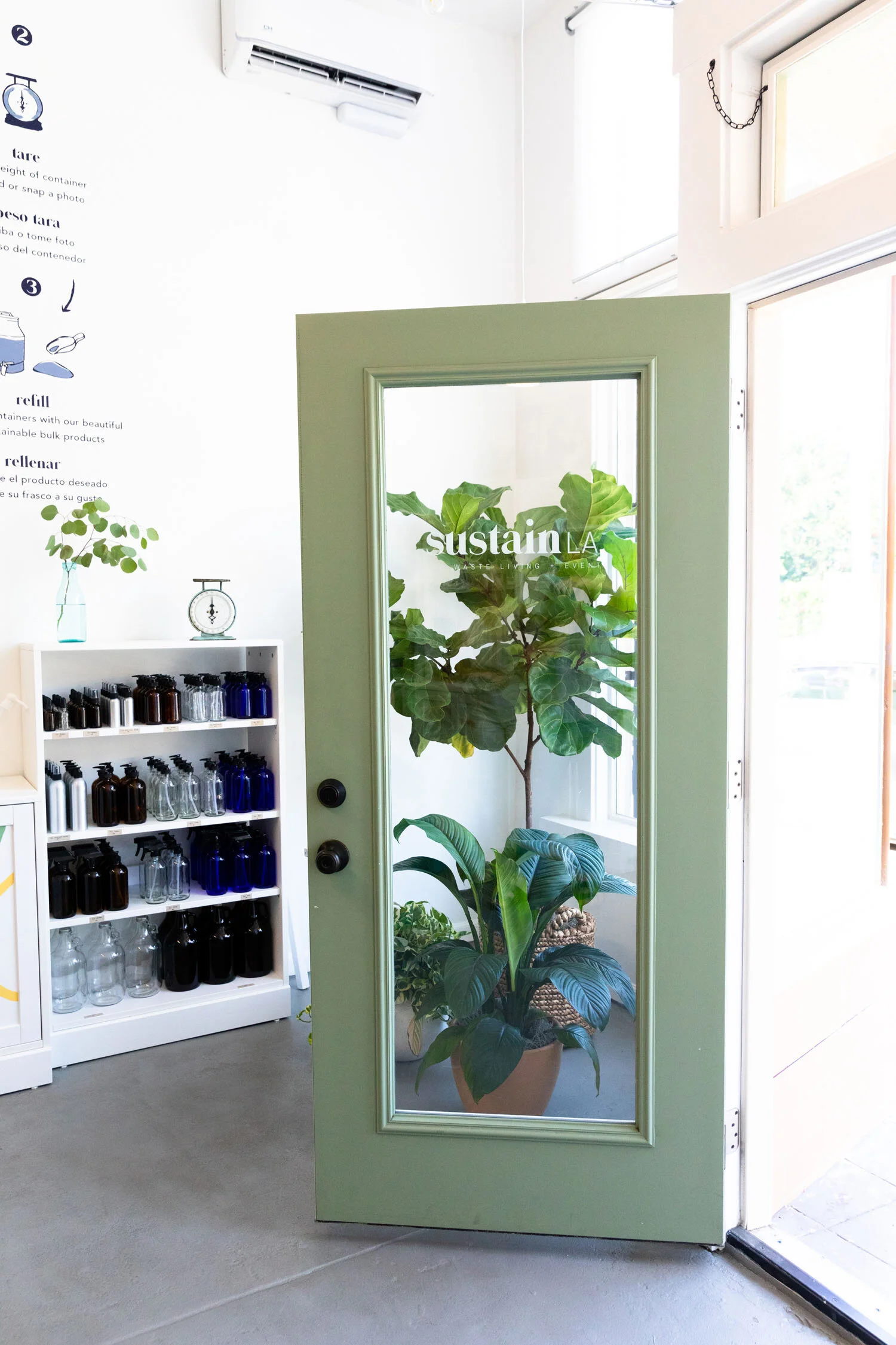 Interior of Sustain LA showing the green glass door with logo decal, fiddle-leaf fig plant, and shelves of glass refill bottles