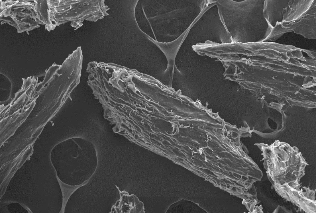 Electron-microscope view of implant material surface structure — Foot and Ankle