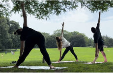 Three people doing outdoor yoga stretches on mats in a park