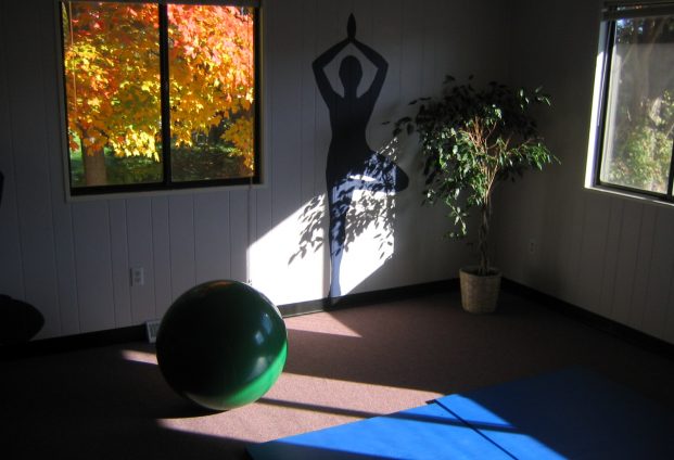 Interior of the Wholistic Physical Therapy gym with exercise ball and yoga mat